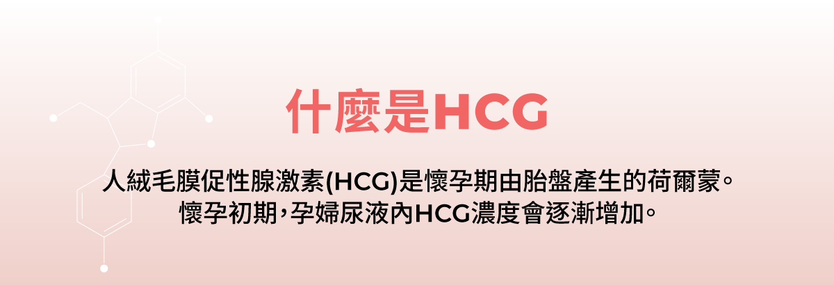 人絨毛膜促性腺激素（HCG），HGC 是懷孕期由胎盤產生的荷爾蒙。懷孕初期，孕婦尿液內HCG濃度會逐漸增加